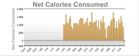 NetCalories.jpg