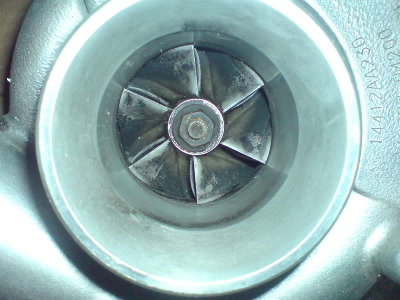 DSC00611.jpg