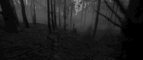 1475686426_zpso6ivbhm3.gif