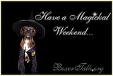 potterweekend.jpg image by TheF3ar