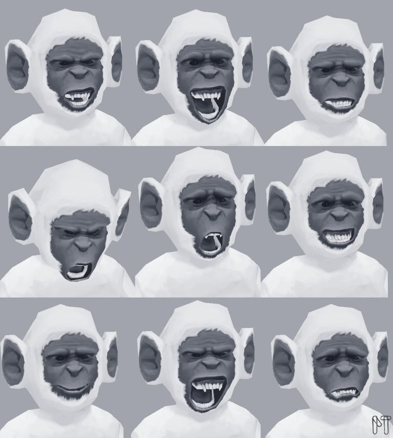 monkeyfaces.jpg