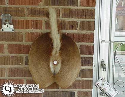 DOORBELL