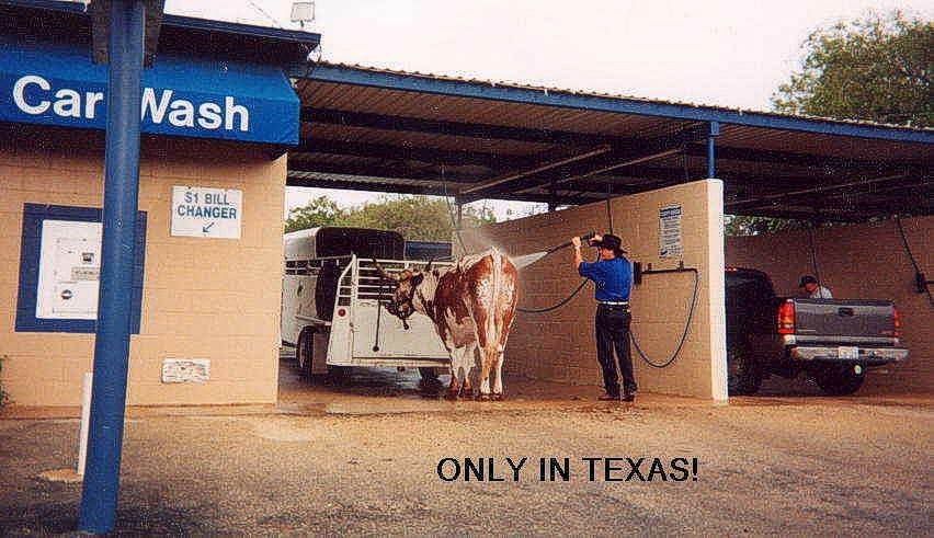 Only20in20Texas