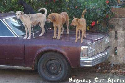 redneck car alarm