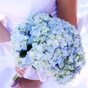 Bridal Bouquet Pictures, Images and Photos