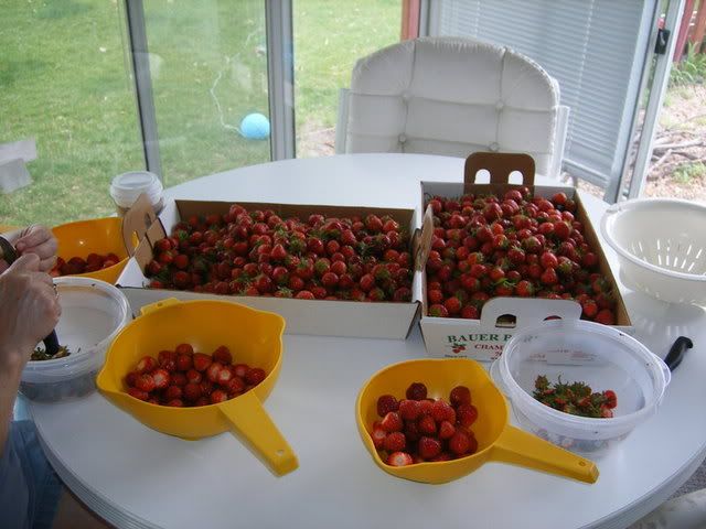 two flats of strawberries photo 6-22-07036.jpg