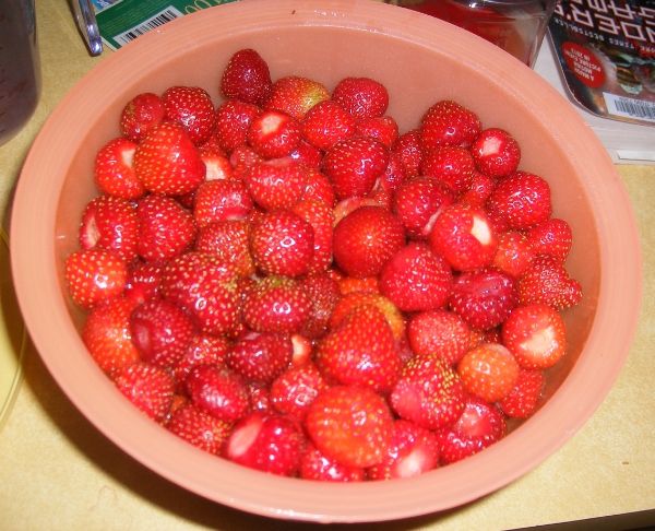 7-5-13 001 strawberry jam 2013 photo 79655cf8-190e-4a59-a65f-7c7c4465f5e3_zpscb34d435.jpg