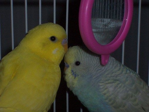 re: Law & Order SVU - NO!