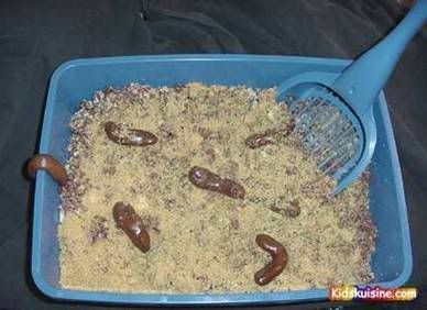 kitty litter cake