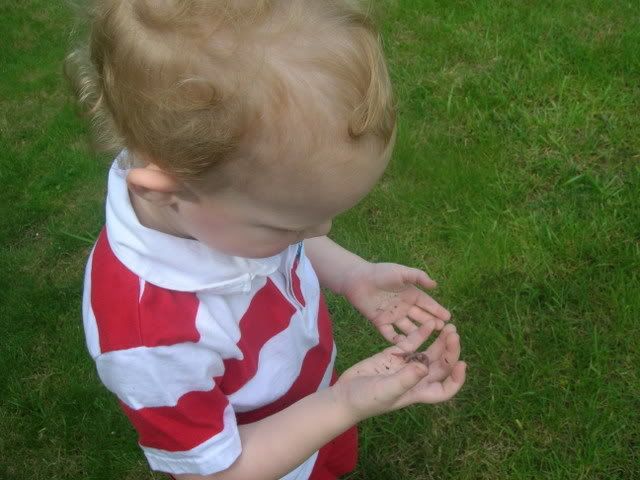 One of the joys of boys in springtime - earthworms!