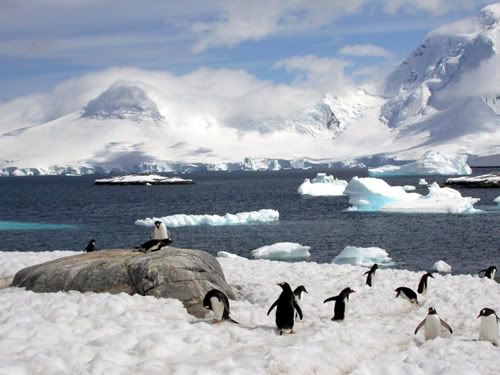 Antartica News, Antartica Findings, World Concern, Global Warming