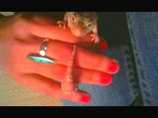 geckohug.jpg