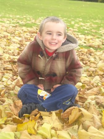 Connor in Autumn leaves 29 Oct 2010