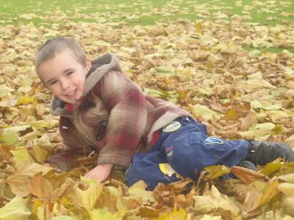 Connor in Autumn leaves1 29 Oct 2010