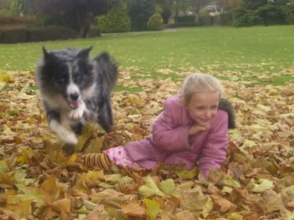 Mercury &amp; Bella in Autumn leaves 29 Oct 2010