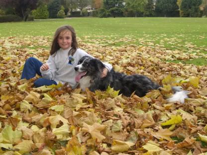 Gabby &amp; Mercury in Autumn leaves1 29 Oct 2010