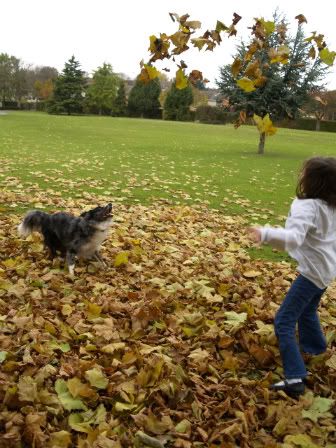 Gabby &amp; Mercury in Autumn leaves3 29 Oct 2010