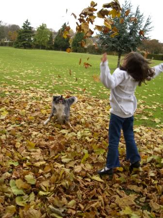 Gabby &amp; Mercury in Autumn leaves4 29 Oct 2010