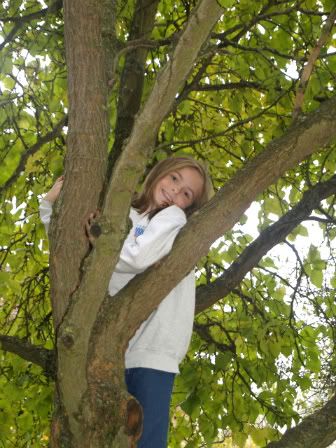 Gabby in tree 29 Oct 2010