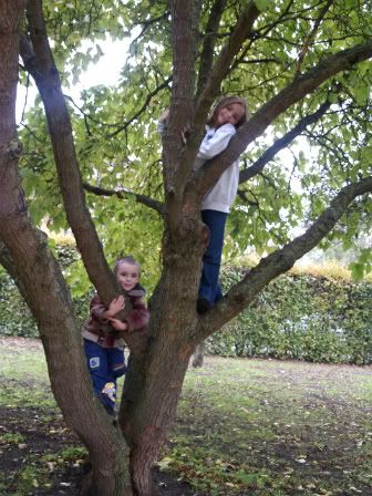 Connor &amp; Gabby in tree 29 Oct 2010