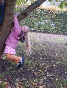 Bella hanging in tree 29 Oct 2010