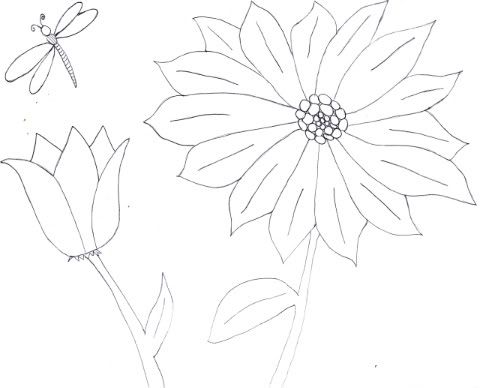 Fourth Drawing Flowers &amp; Dragonfly
