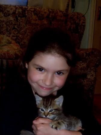 Angelica &amp; Caspian Kitten
