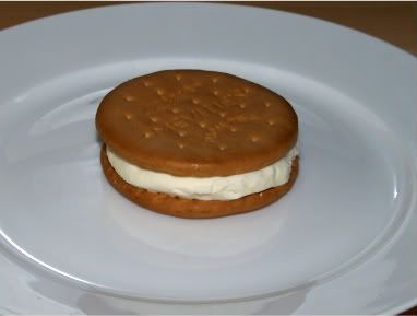 Easy Ice Cream Sandwich 2