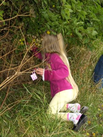 Bella picking plums 25 Aug 2010