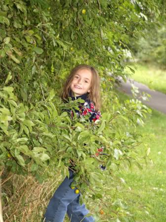 Gabby picking plums 25 Aug 2010