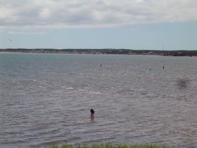 DSC04039.jpg