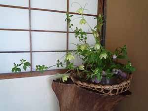 さりげなく活けられら花