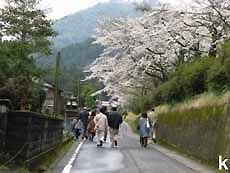 ツアー参加者