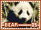 bear05