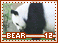 bear12