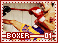 boxer01