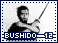 bushido12