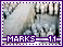 marks11