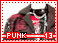 punk13