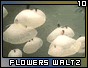flowerswaltz10