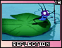 reflection13
