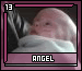 angel13