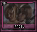 angel16