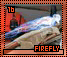 firefly16