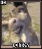 donkey03