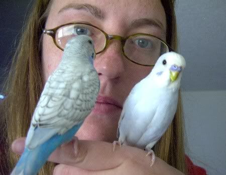 birdsa4.jpg