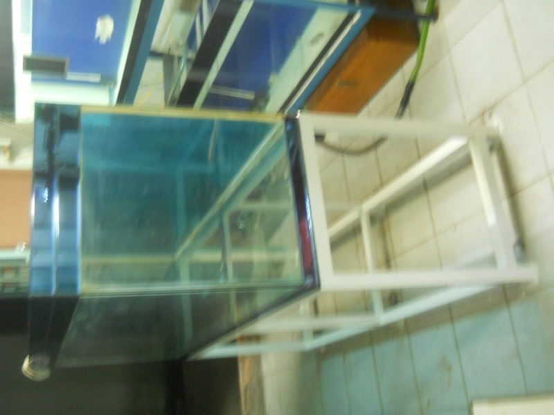 Manchester United fanclub - 3