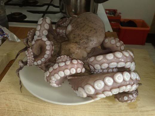 Besuch aus Krakenhausen