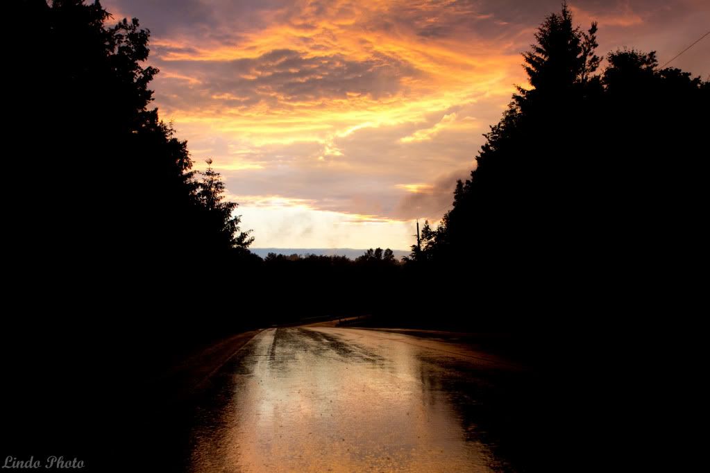 IMAGE: http://i2.photobucket.com/albums/y14/riczoh/IMG_0951.jpg