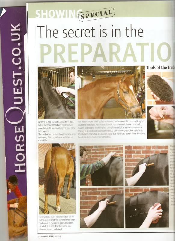 sharks teeth quarter marks and showing forum...